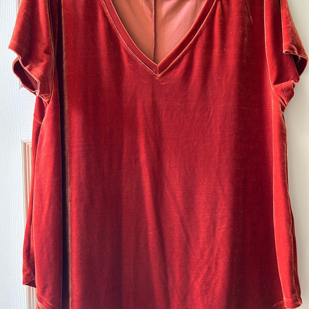 Dylan Velvet V-Neck Red/Orange V-neck Top with Curved Hemline